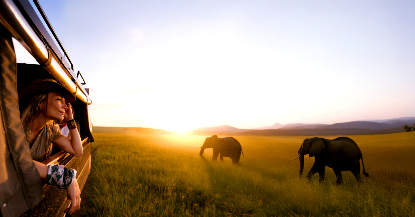 Woman in safari vehicle, observing elephants